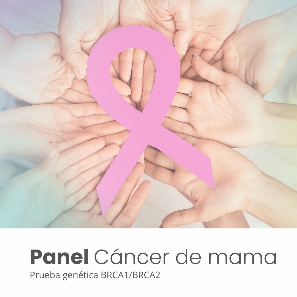 Mama Panel Panel de cáncer de mama – Huella Génica
